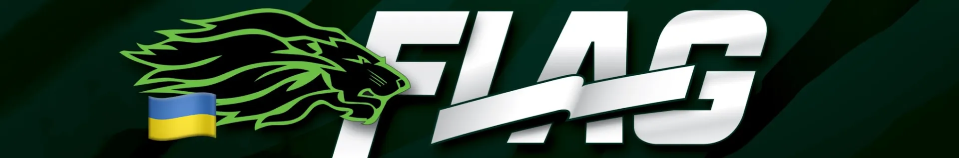 Lviv Lions Flag Football's profile banner