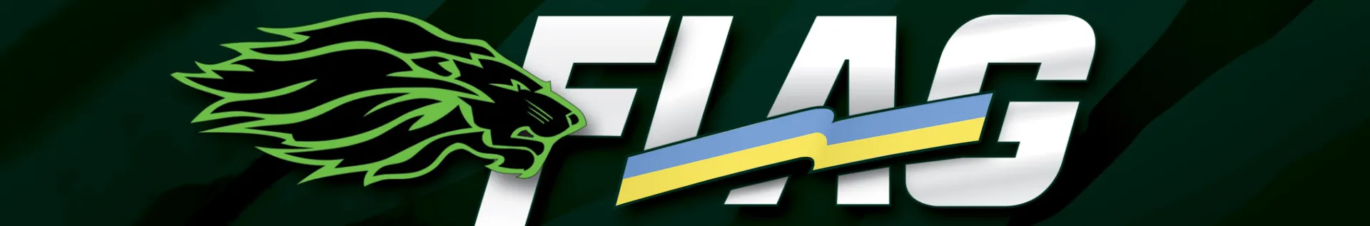 Lviv Lions Flag Football, nonprofit organization banner