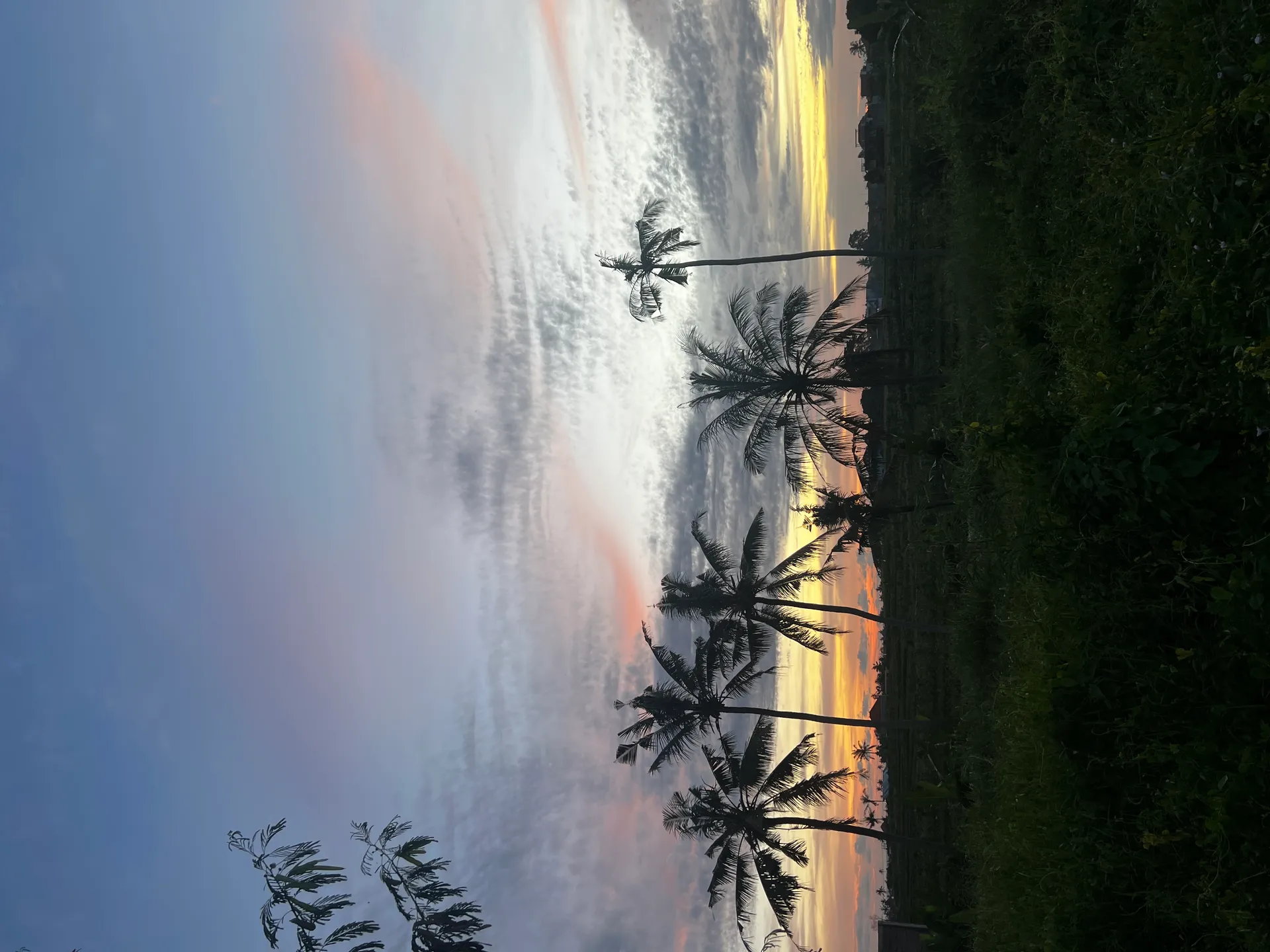 Sunset yoga - fundraising for Education For Everyone - Image 1