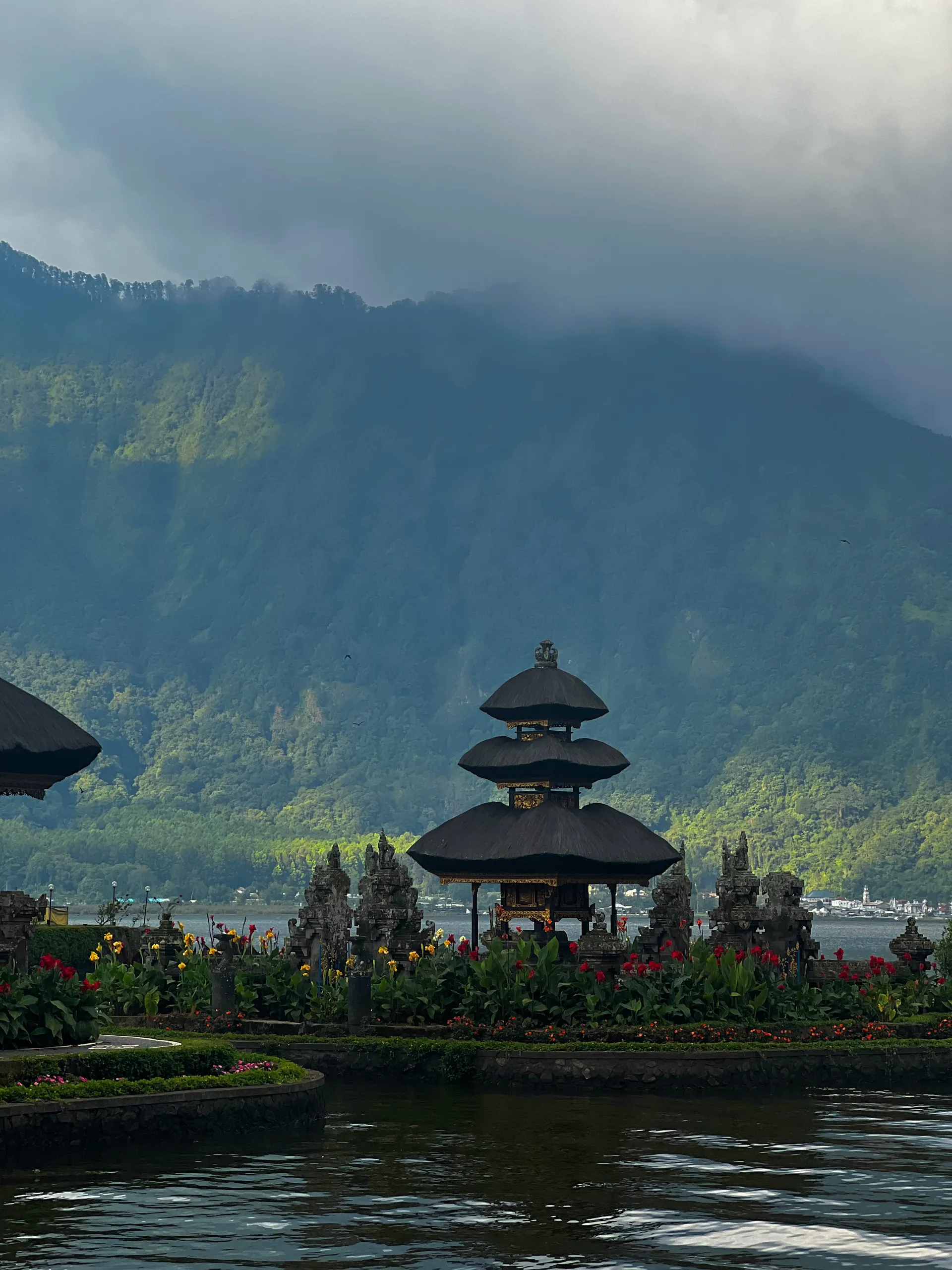 Julia Maeso's profile banner