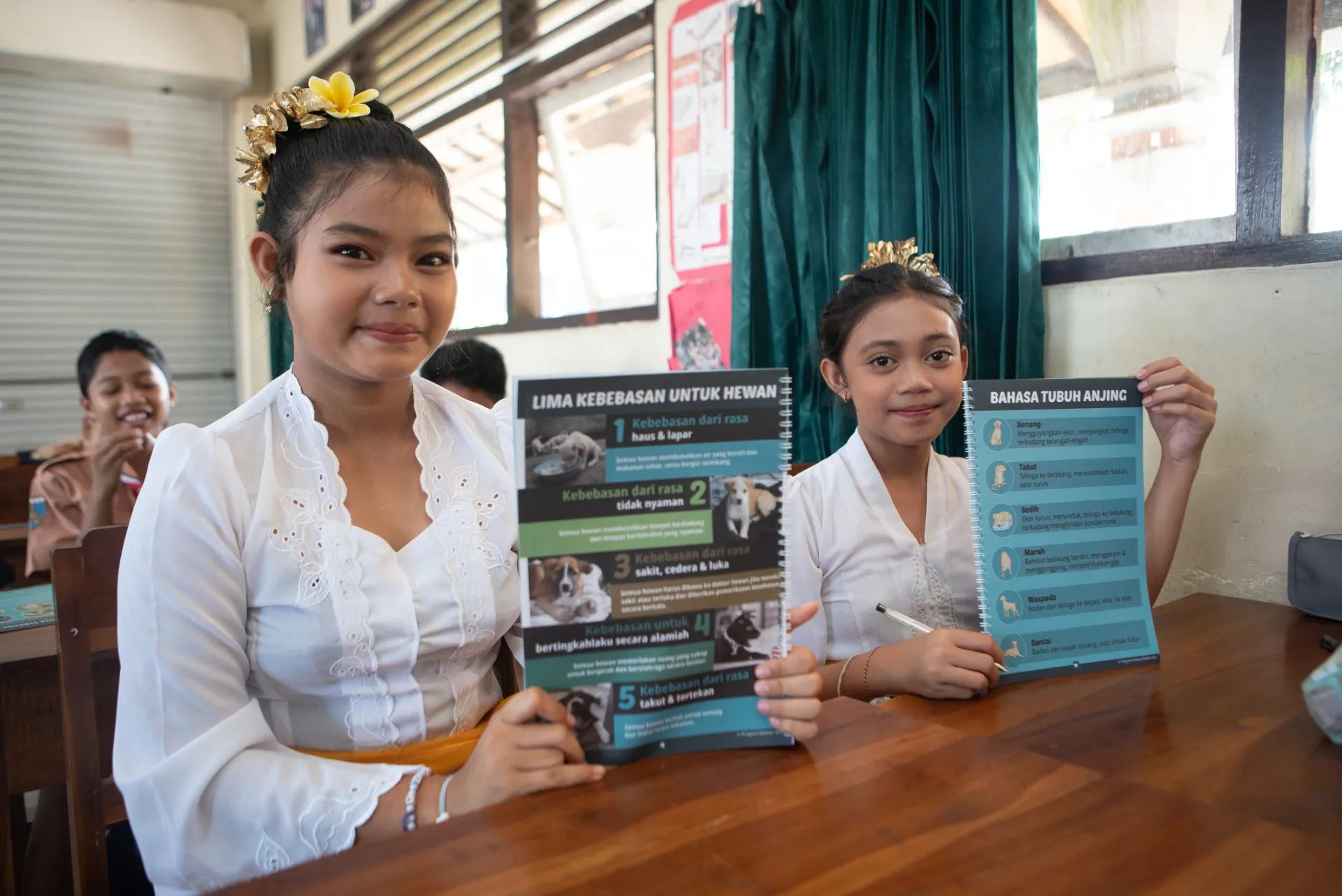 Bawa Education: Animal Welfare, Rabies Awareness And Prevention - Image 4
